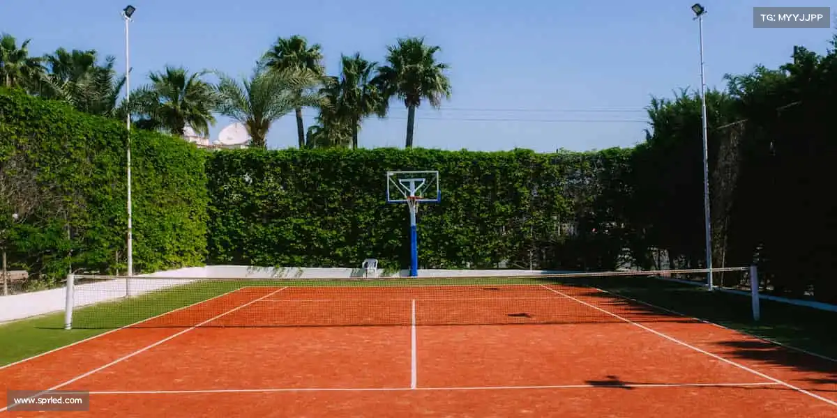 <strong>911行情网站电视高清在线入口</strong>打磨每一个细节，雕琢每一段叙事 —— 用影视书写精彩瞬间🔮